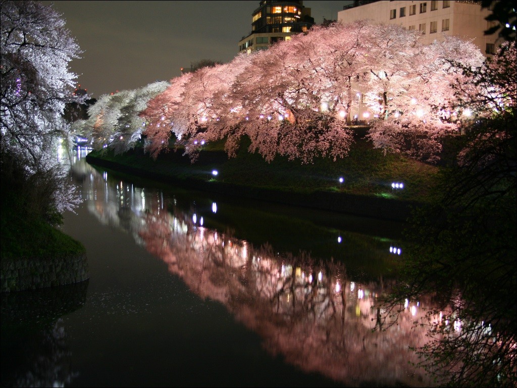 千鳥ヶ淵緑道
