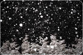 雪