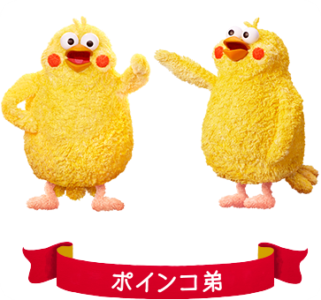 ポインコ弟